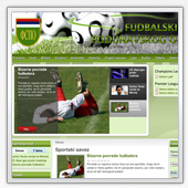Website example 2